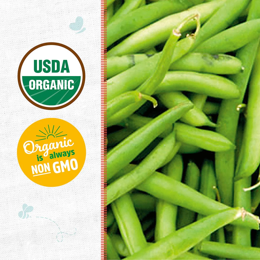 Organic Bean Seeds — 'Tendergreen Bush' - Image 2