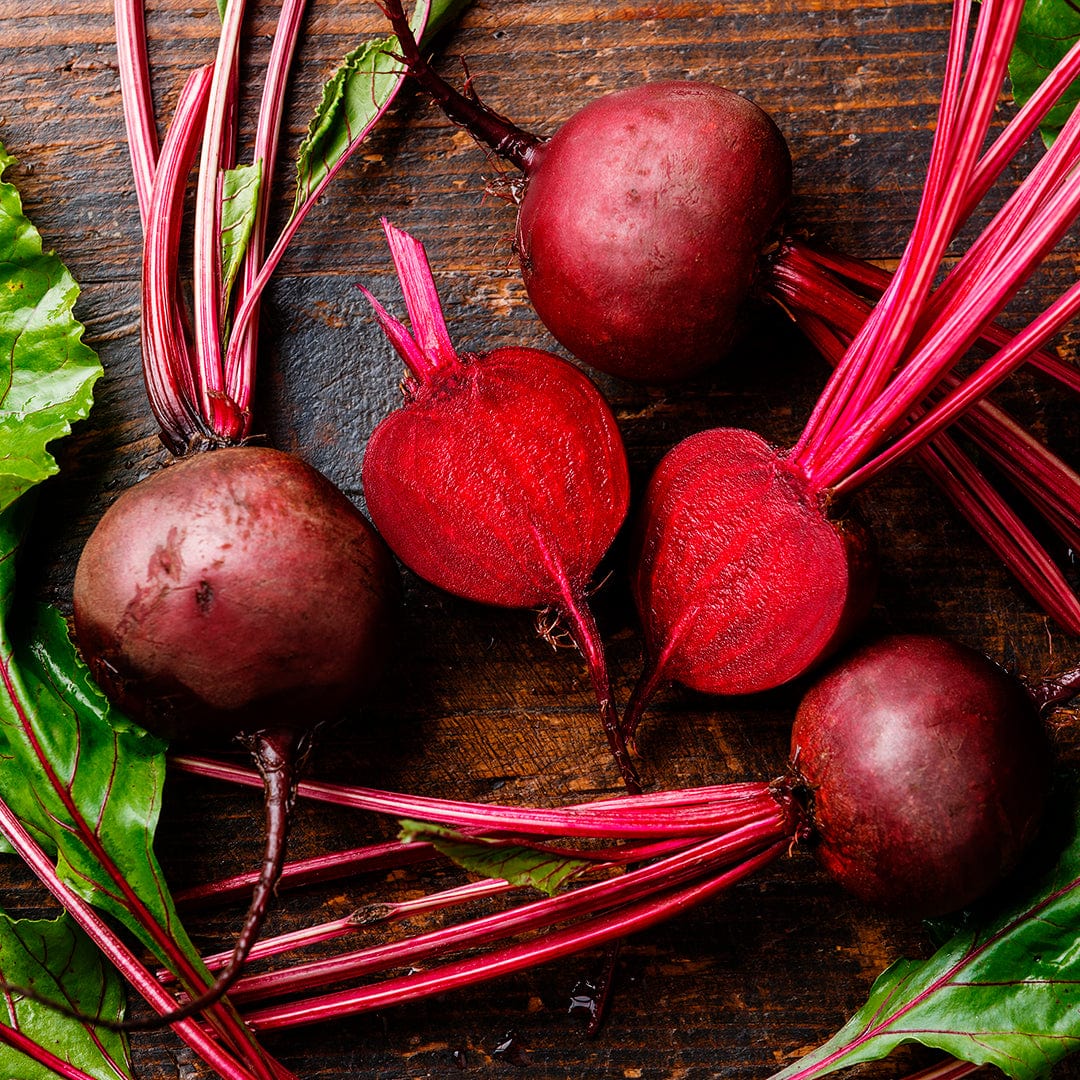 Organic Beet Seeds — 'Detroit Dark Red' - Image 6