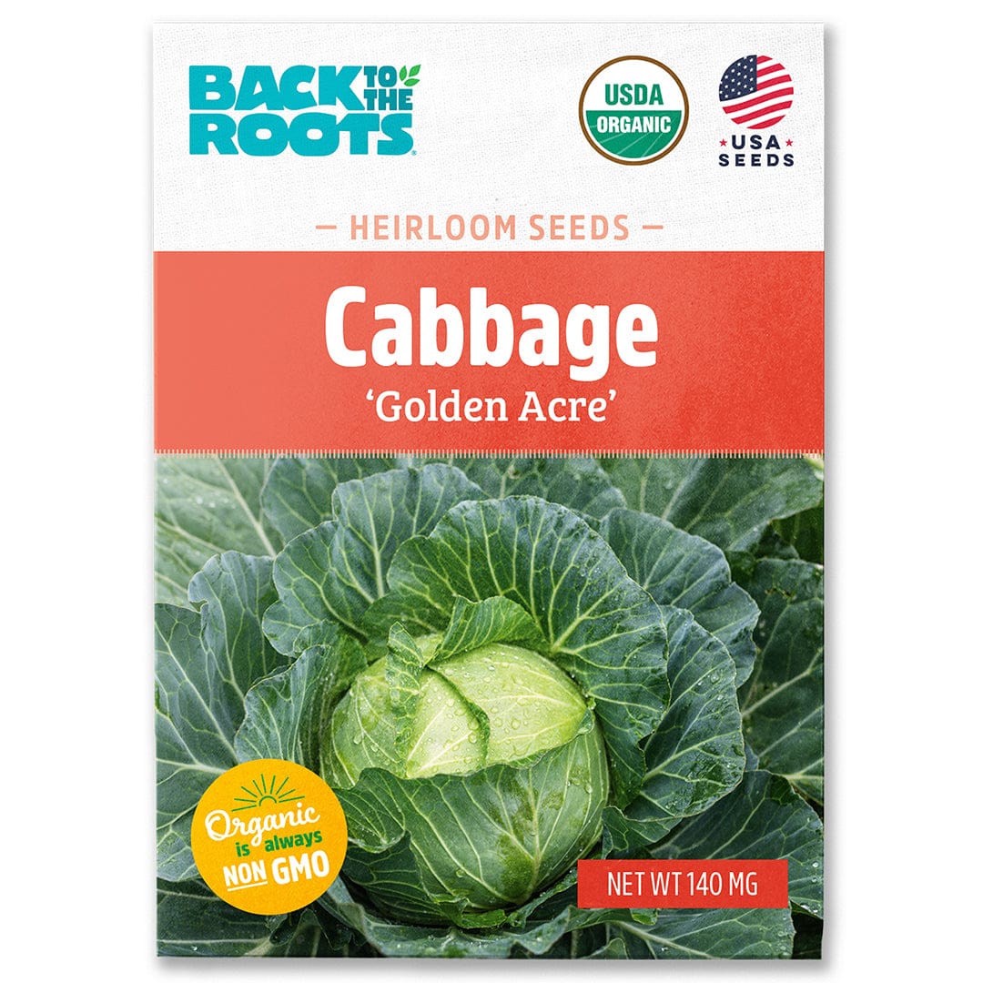 Organic Cabbage Seeds — 'Golden Acre'