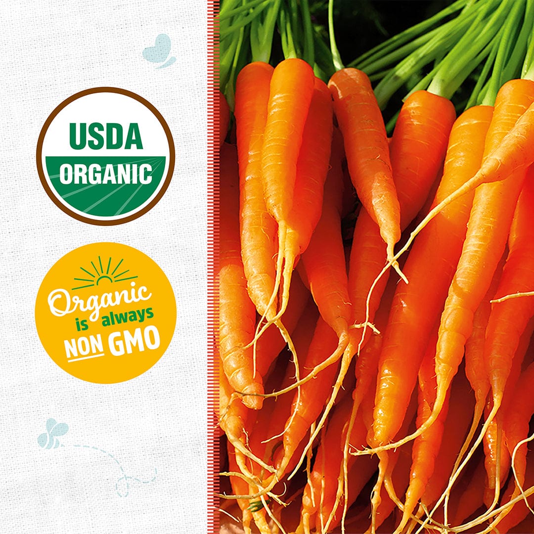 Organic Carrot Seeds — 'Baby Bambino' - Image 2