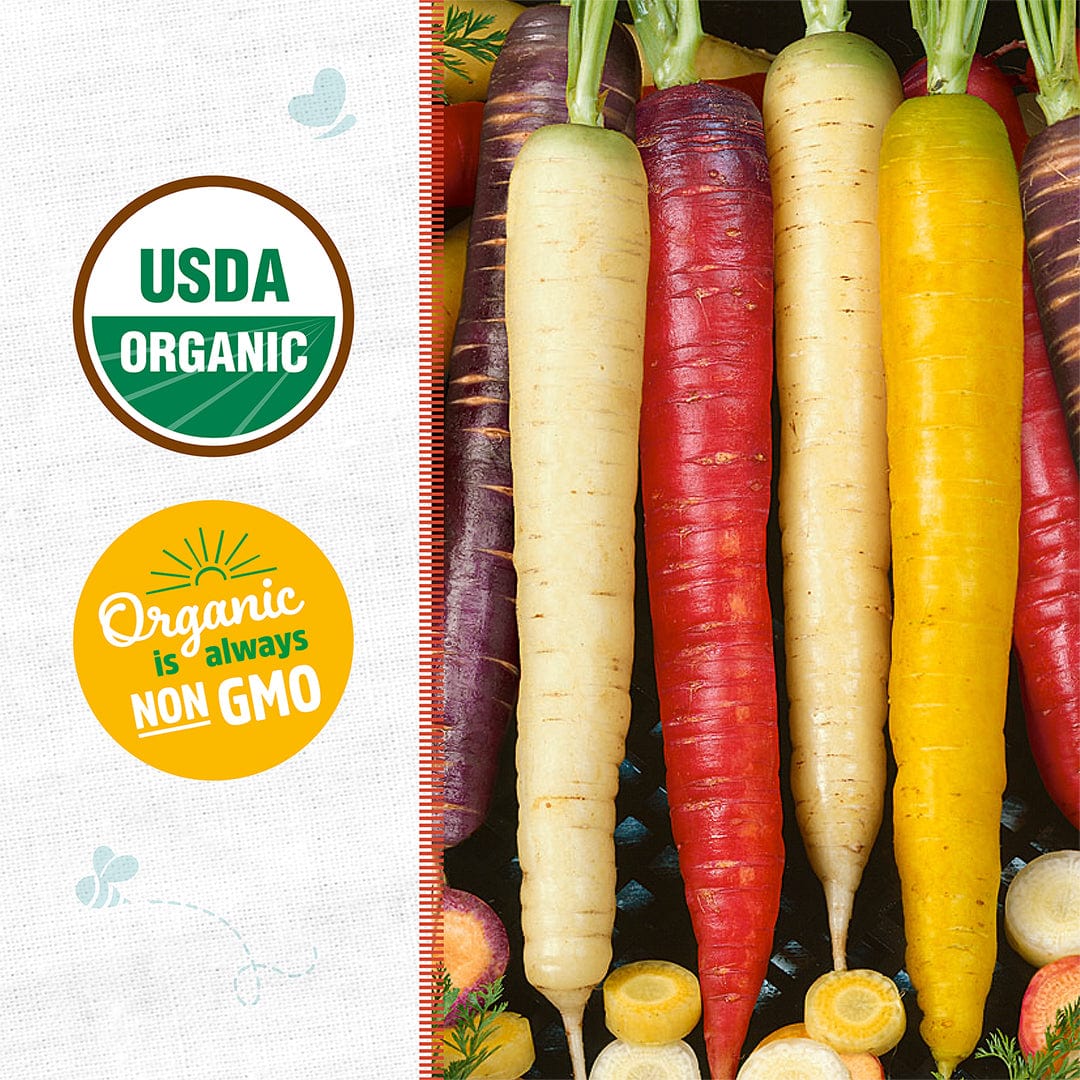 Organic Carrot Seeds — 'Rainbow Blend' - Image 2