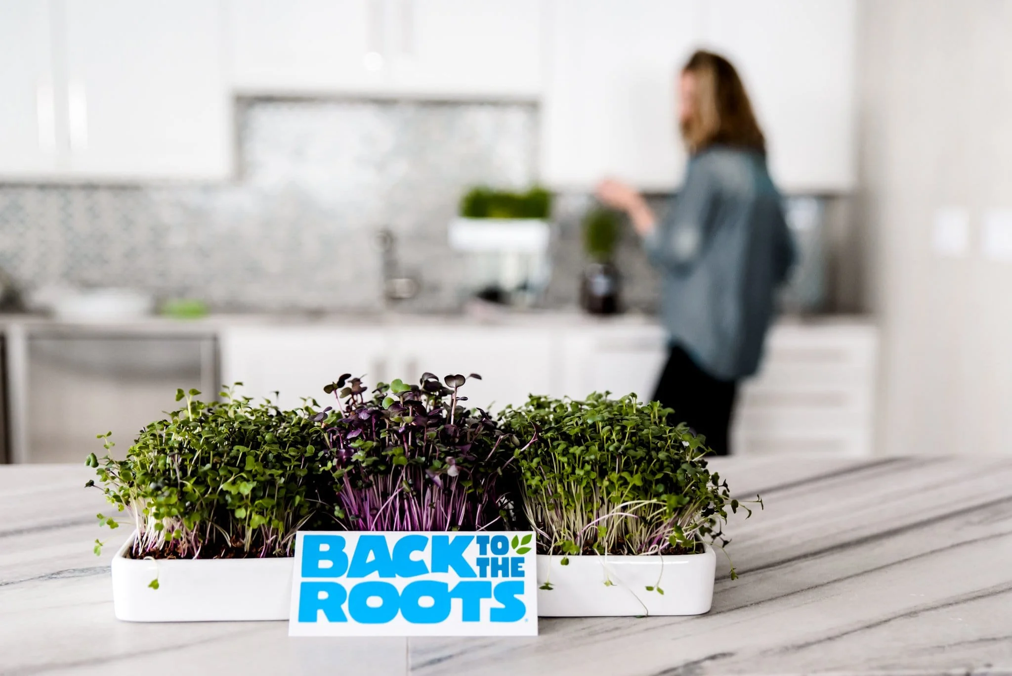 Ceramic Microgreens Planter, 3-Pack - Image 2