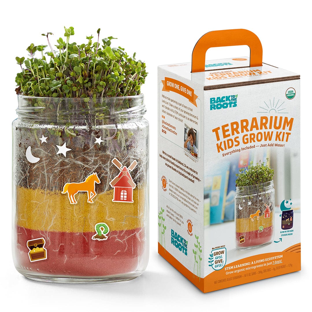 Kids Grow Kit 4-Pack Bundle: Terrarium and 3 Science Grow Kits 🎁 - Image 2
