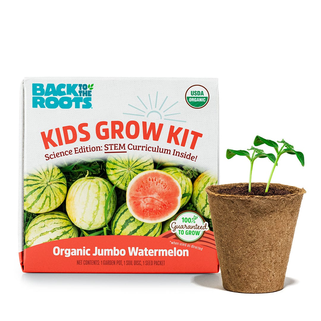 Kids Grow Kit 4-Pack Bundle: Terrarium and 3 Science Grow Kits 🎁 - Image 4