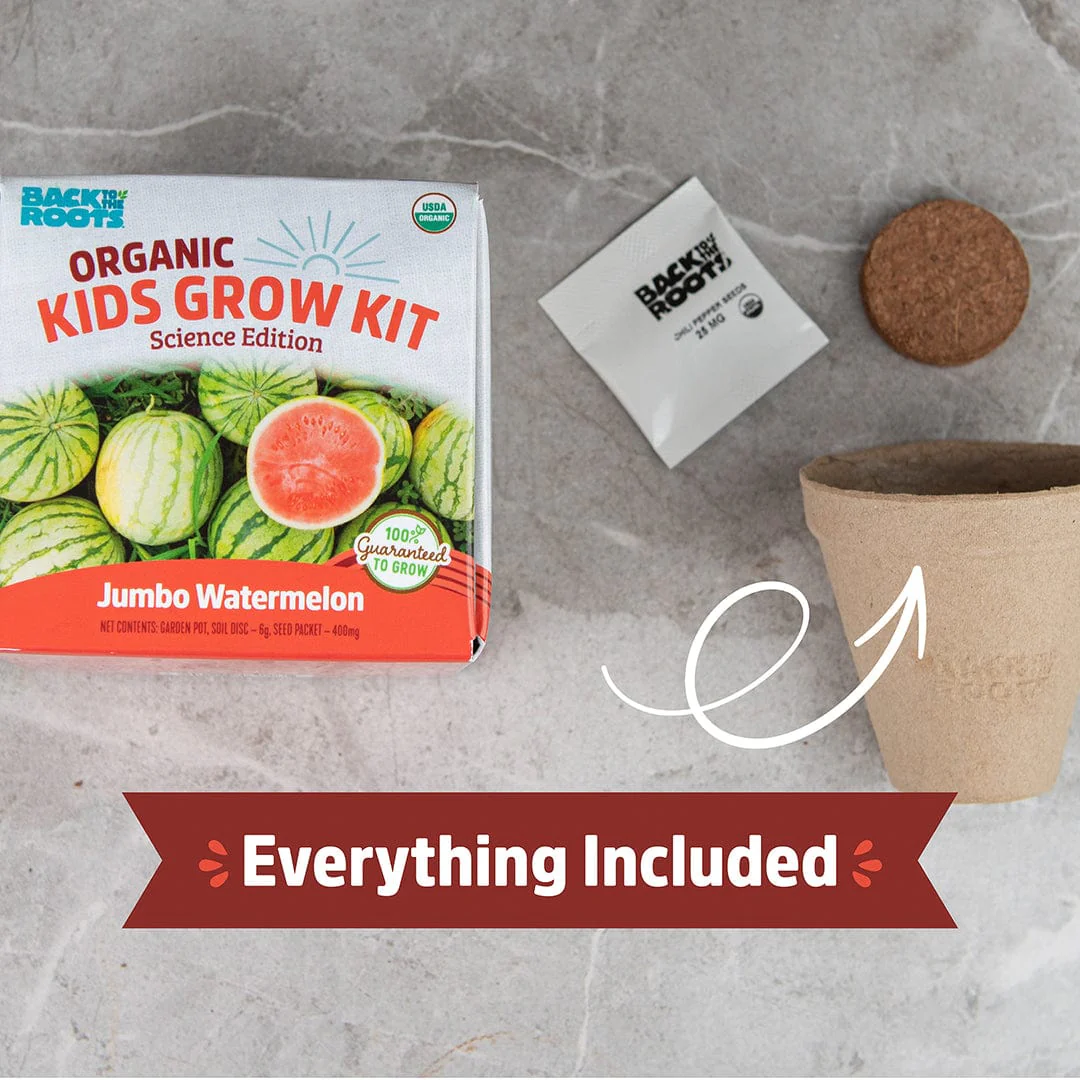 Kids Grow Kit 4-Pack Bundle: Terrarium and 3 Science Grow Kits 🎁 - Image 9