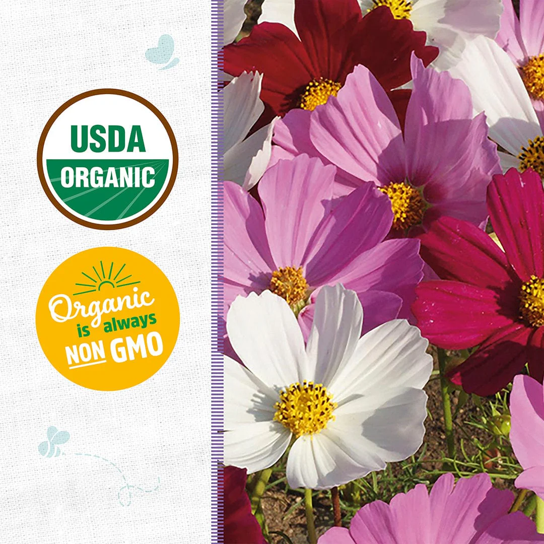 Organic Cosmos Seeds — 'Sensation Mix' - Image 2