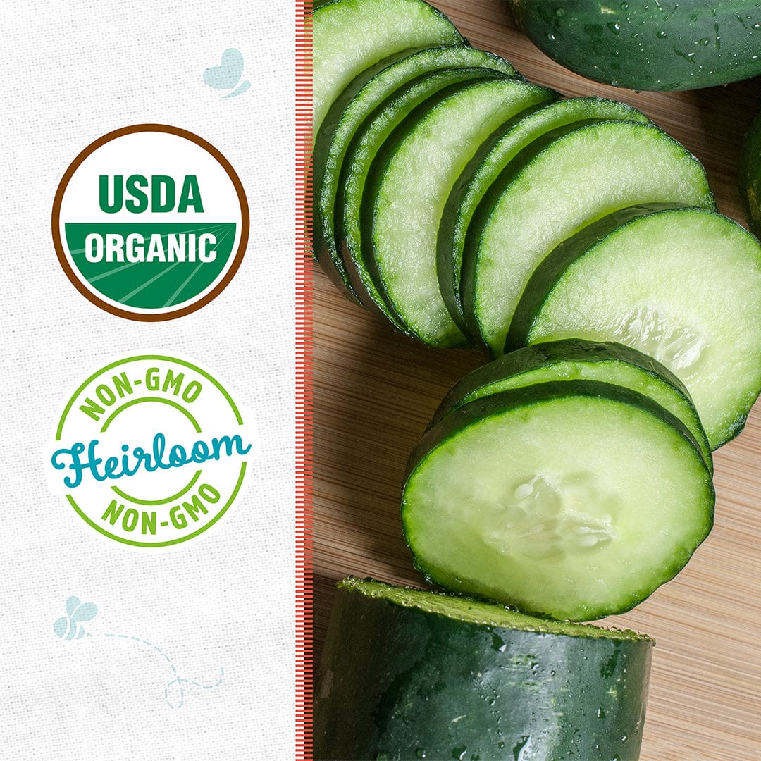 Organic Cucumber Seeds — 'Marketmore 76' - Image 2