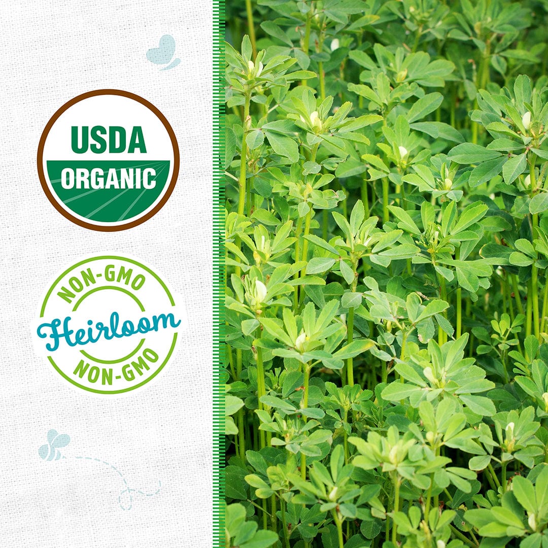 Organic Fenugreek Seeds - Image 2