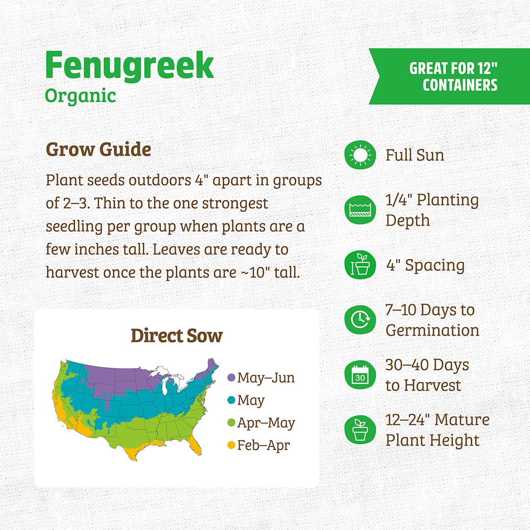 Organic Fenugreek Seeds - Image 3