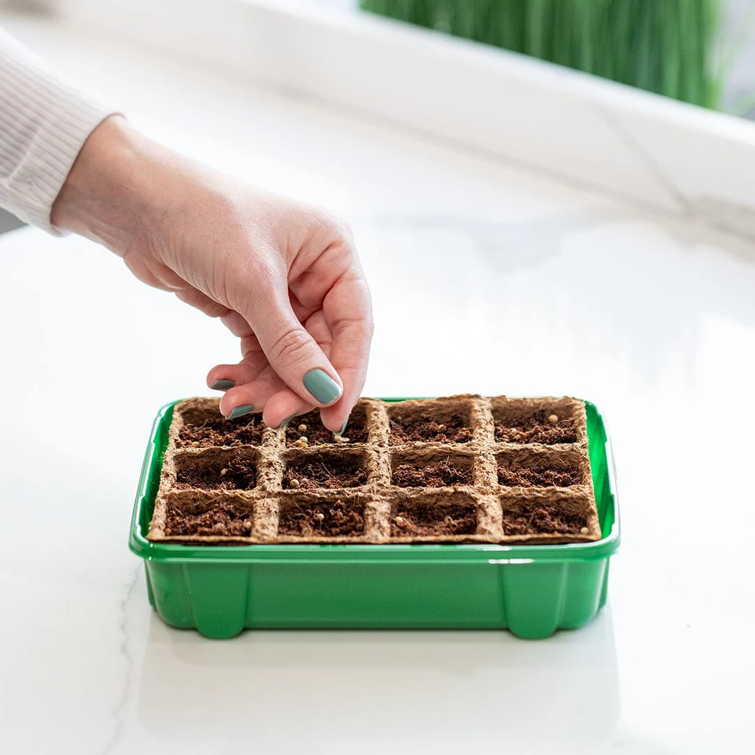 Greenhouse Germination Kit (Organic & Plantable, 12-Cell Tray) - Image 7