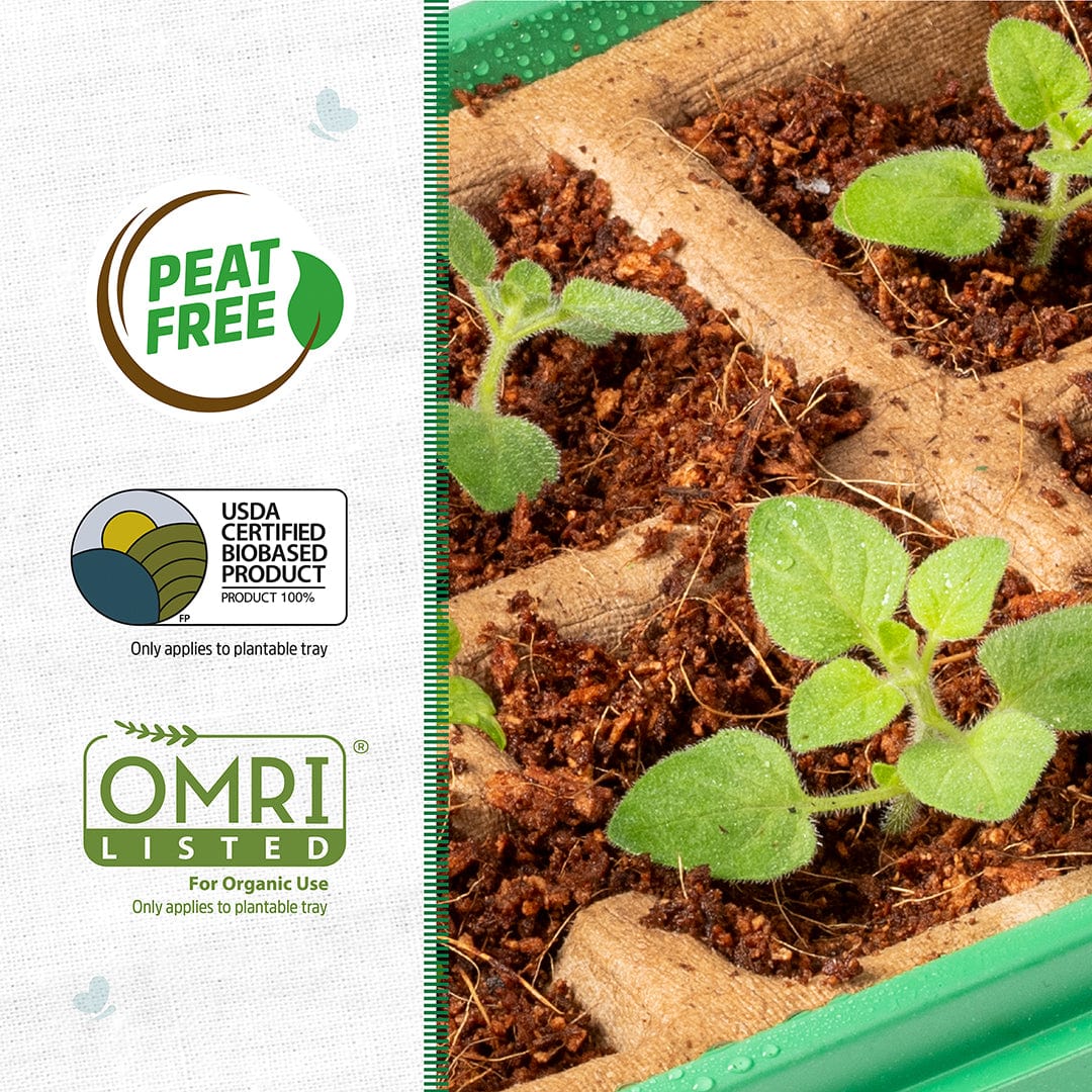 Greenhouse Germination Kit (Organic & Plantable, 10-Cell Tray) - Image 2