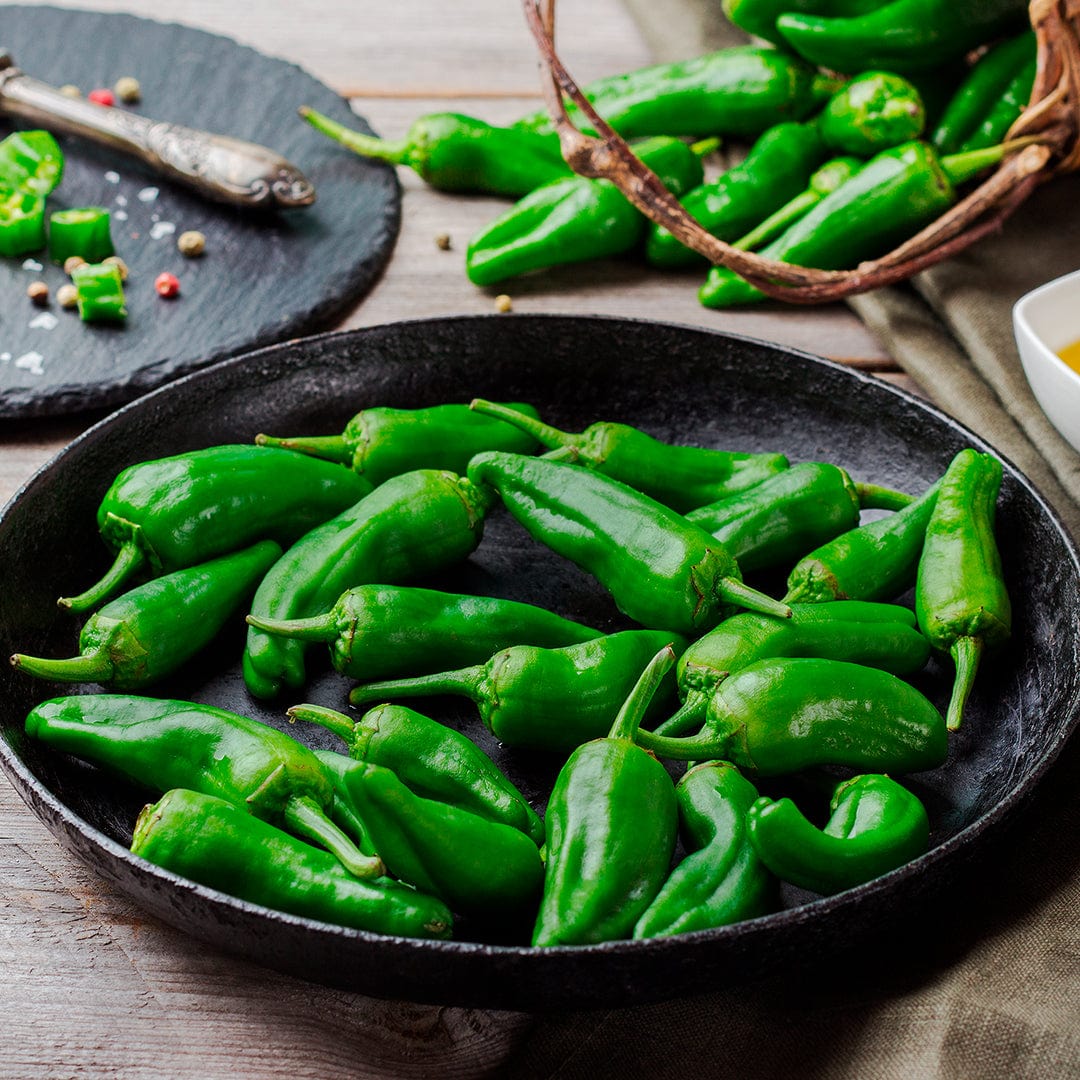 Organic Jalapeño Pepper Seeds - Image 7