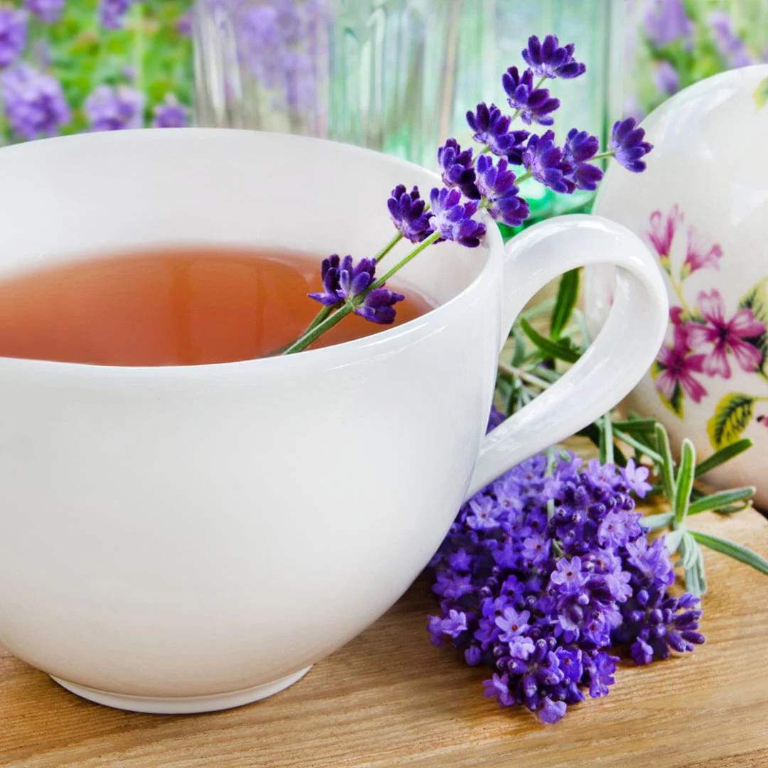Organic Lavender Seeds — 'English' - Image 7