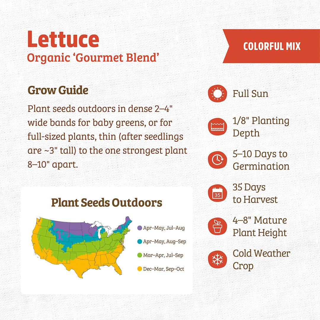 Organic Lettuce Seeds — 'Gourmet Blend' - Image 3