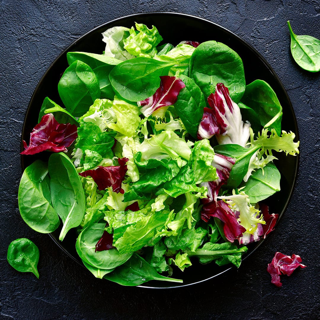 Organic Lettuce Seeds — 'Green Leaf Black Seeded Simpson' - Image 6