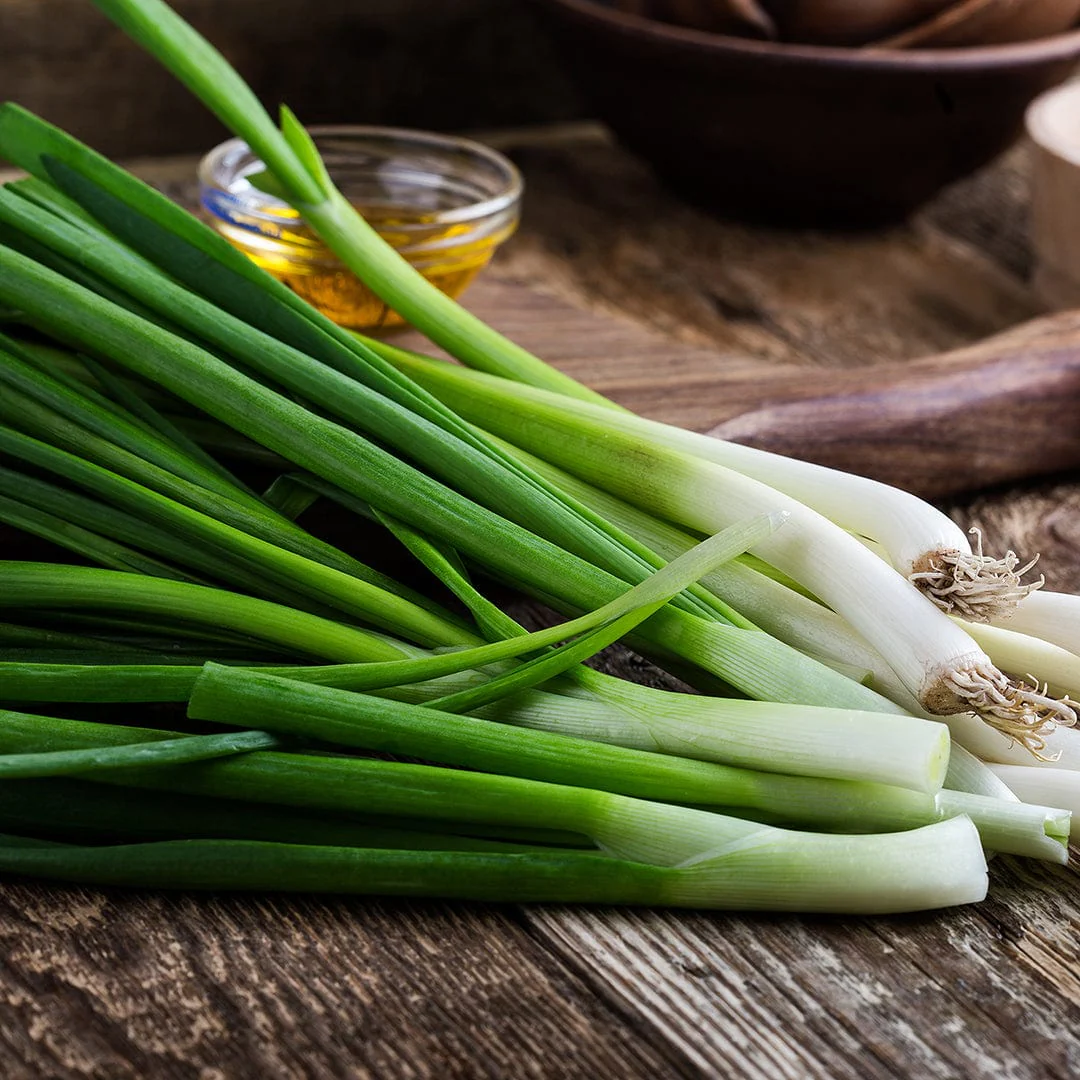 Organic Onion Seeds — 'Evergreen Bunching' - Image 6