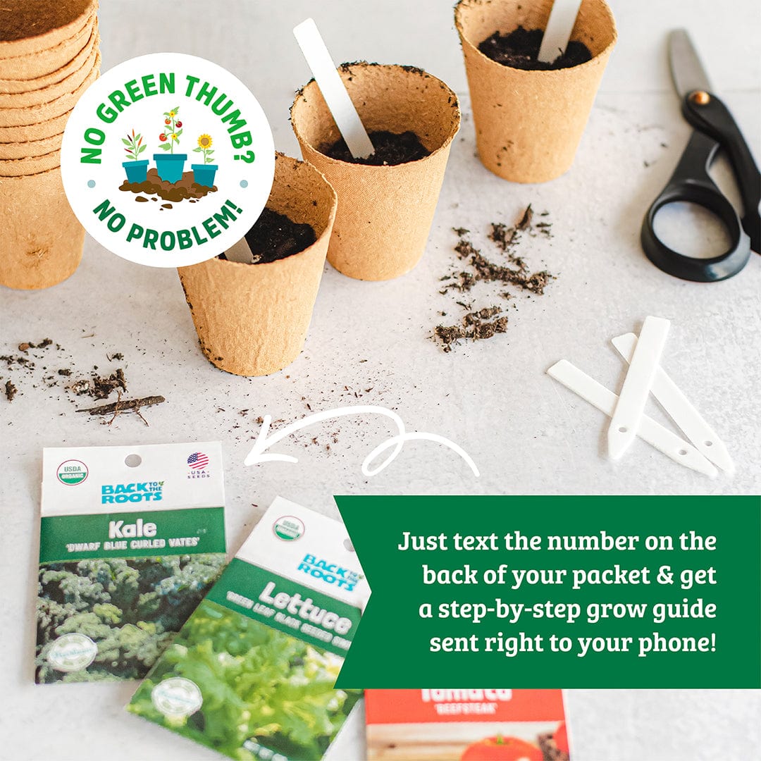 Organic Beginner’s Garden 10-Pack Seed Bundle - Image 3