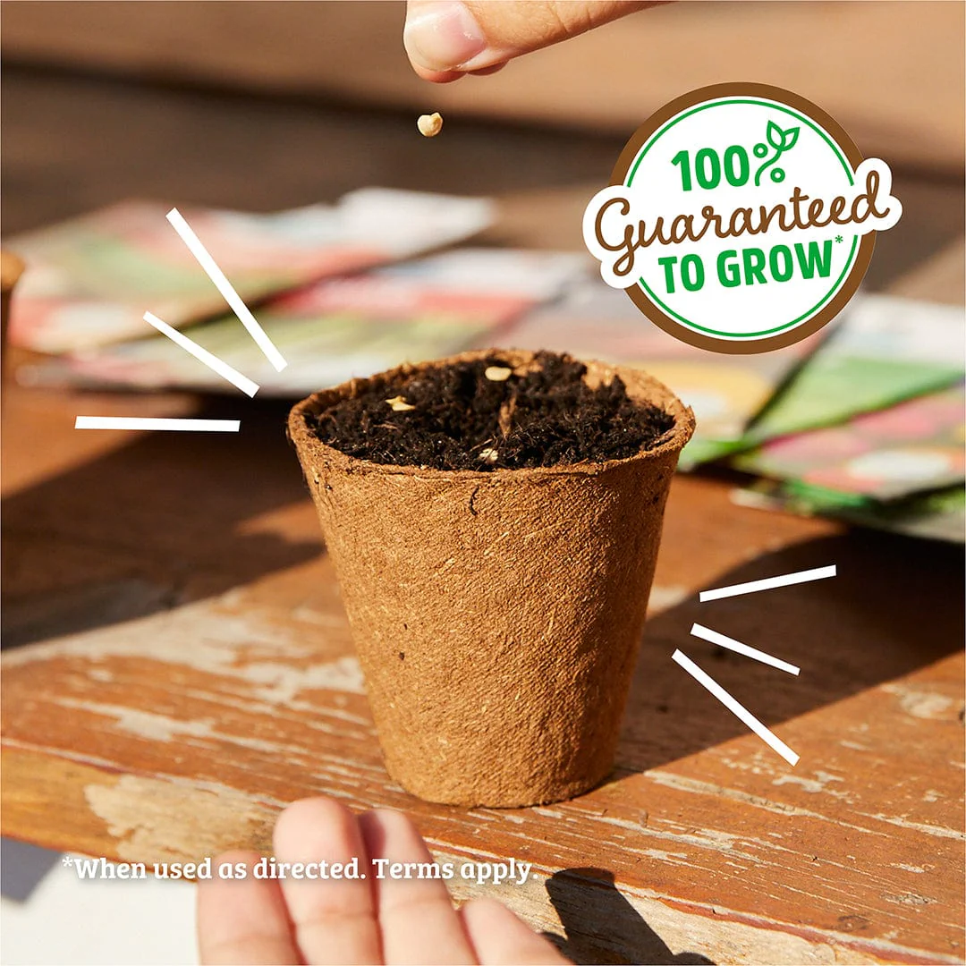 Organic Beginner’s Garden 10-Pack Seed Bundle - Image 6