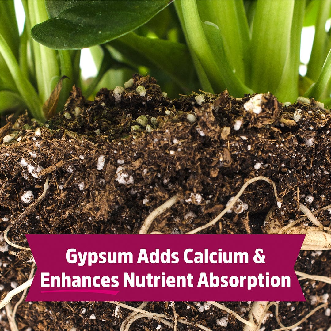 Organic Blood Meal with Gypsum (3lb) - Image 5