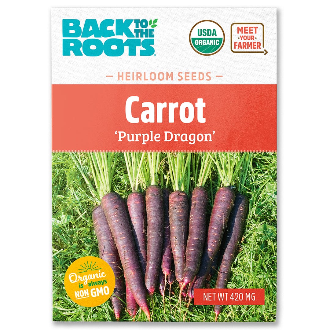Organic Carrot Seeds — 'Purple Dragon'