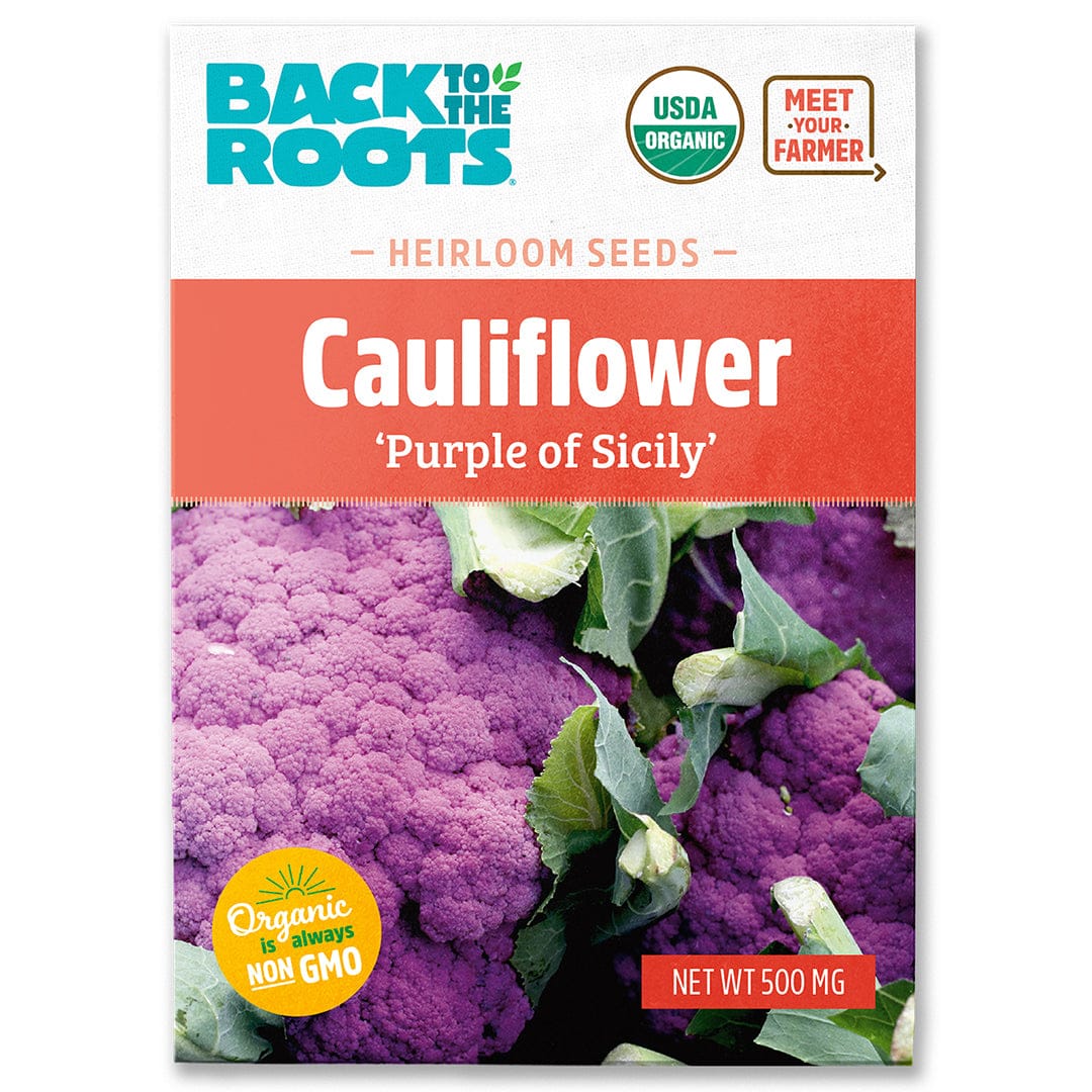Organic Cauliflower Seeds — 'Purple of Sicily'