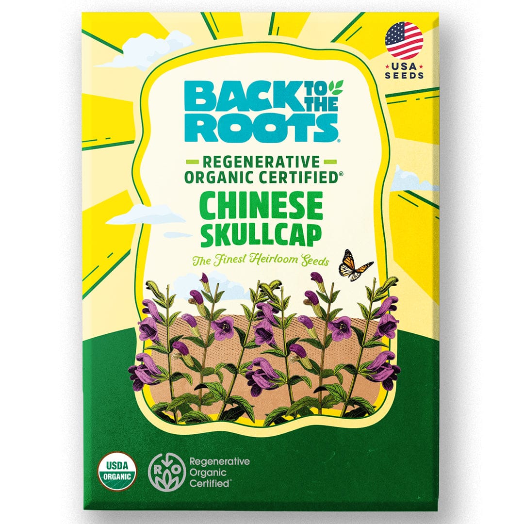 Regenerative Organic Certified® Chinese Skullcap Seeds
