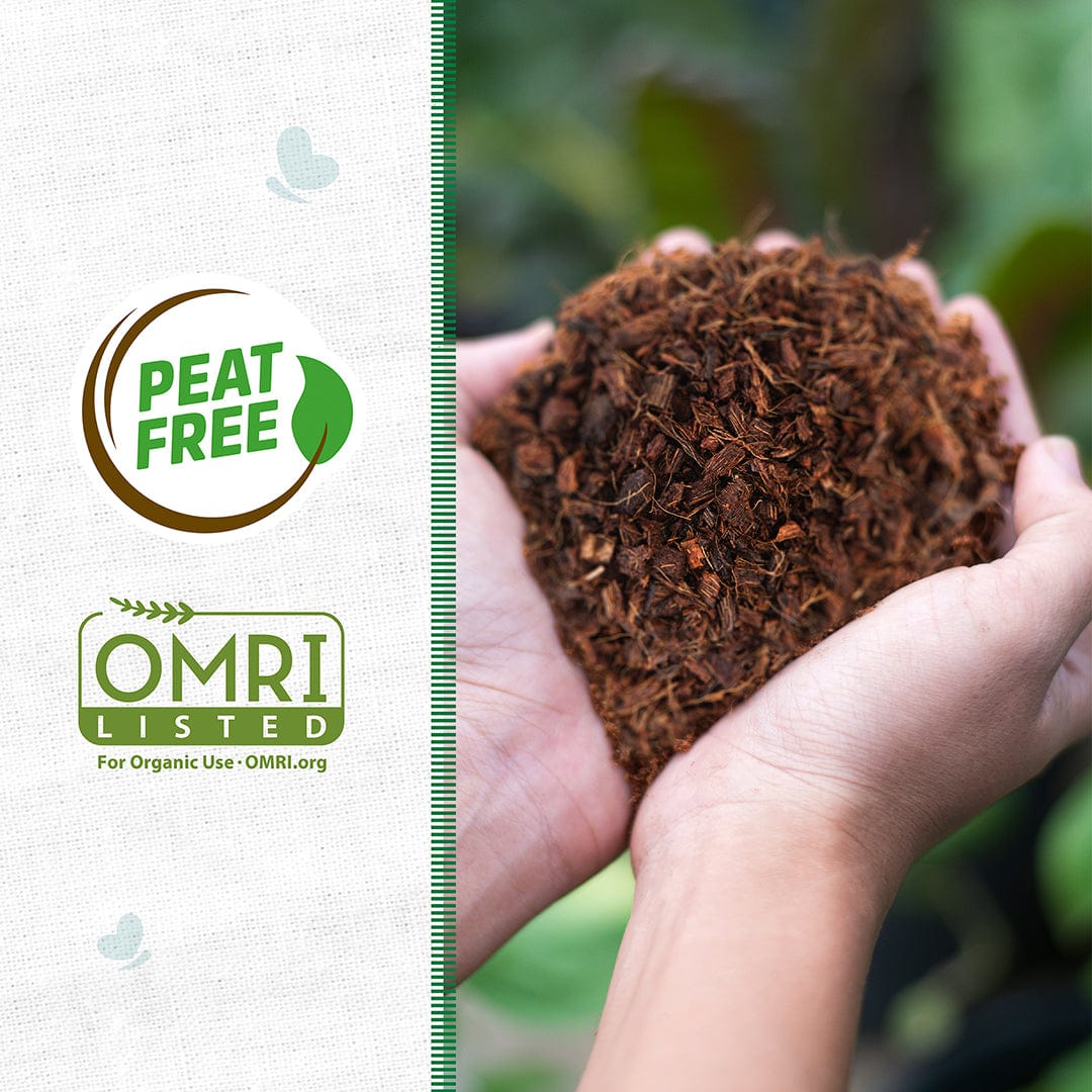 Organic Coconut Coir Mulch 10lb Block - Image 2