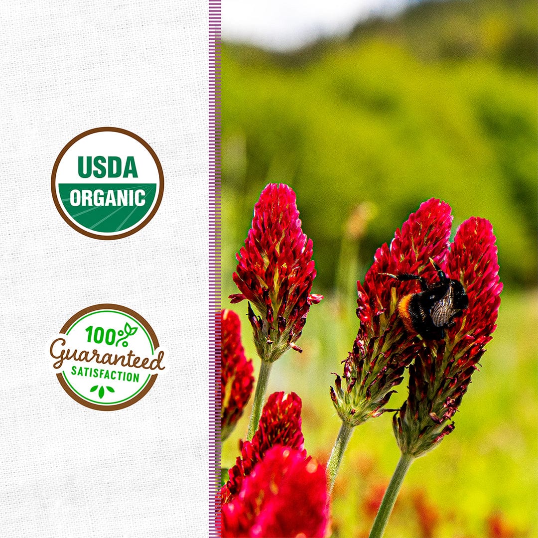 Organic Crimson Clover Cover Crop Seeds - Image 2