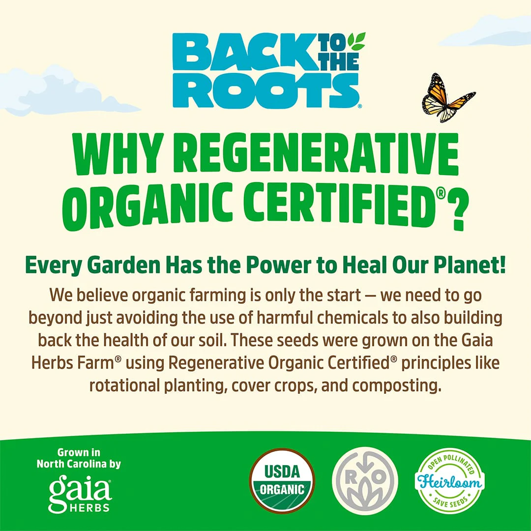 Regenerative Organic Certified® Yarrow Seeds - Image 2