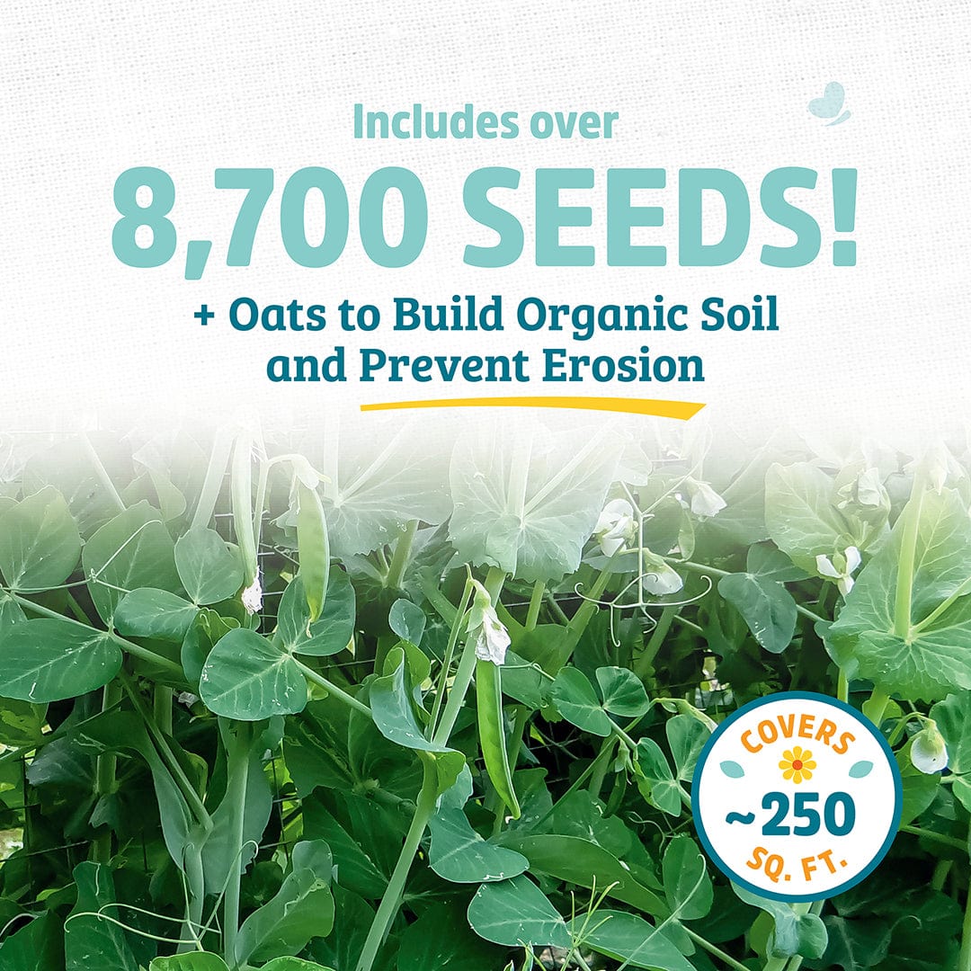 Organic Field Pea (with Oats) Cover Crop Seeds - Image 3