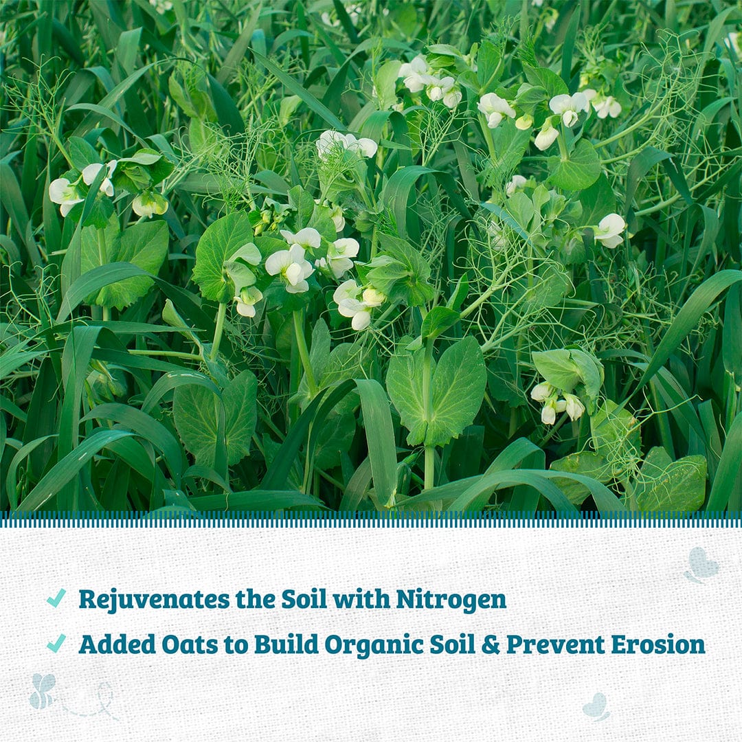 Organic Field Pea (with Oats) Cover Crop Seeds - Image 4