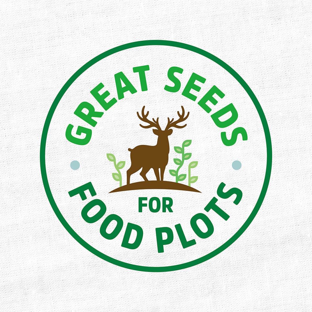 Organic Hairy Vetch Cover Crop Seeds - Image 5