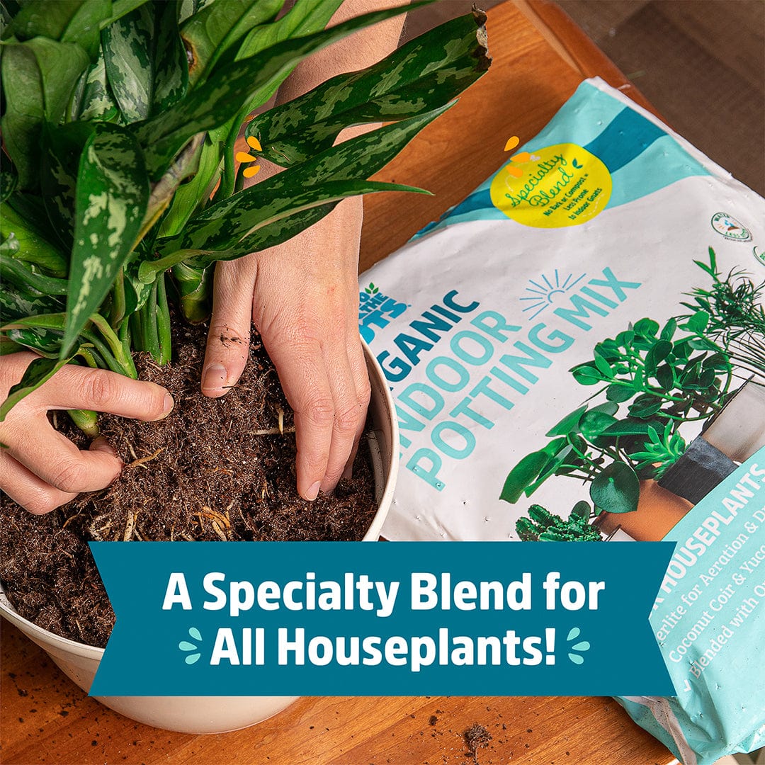 Organic Indoor Potting Mix Specialty Blend (6 QT) - Image 3