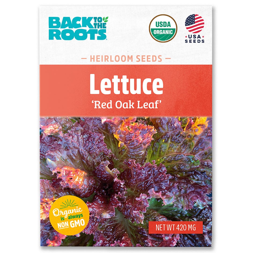 Organic Lettuce Seeds — 'Red Oak Leaf'