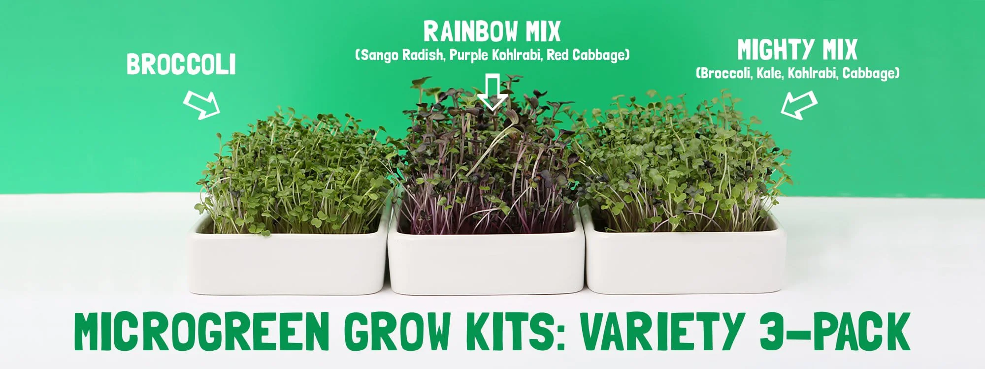 Organic Microgreens Kit, Bulk Saver 6-Pack 🌱 - Image 12