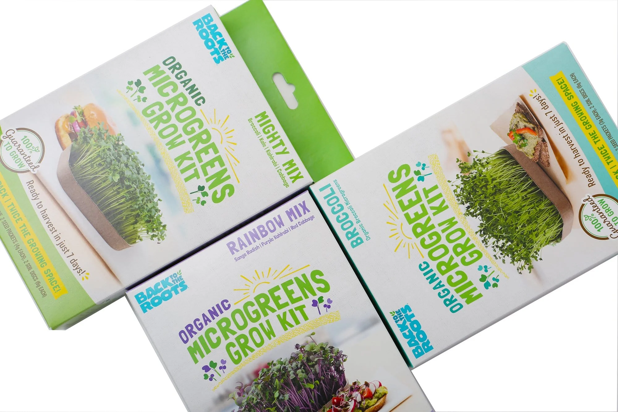 Organic Microgreens Kit, Bulk Saver 6-Pack 🌱 - Image 6