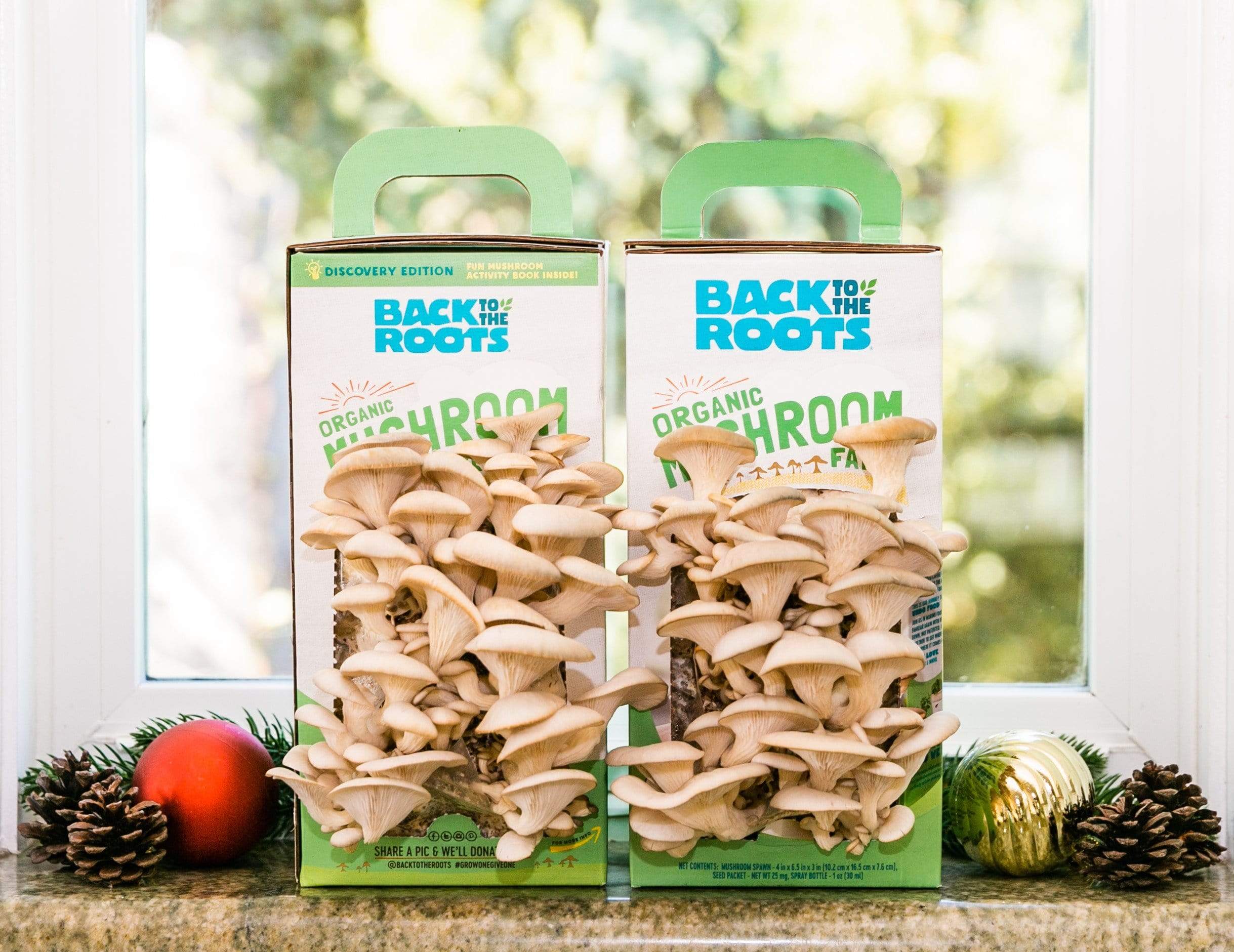 Organic Mushroom Grow Kit, 2-Pack - Image 11