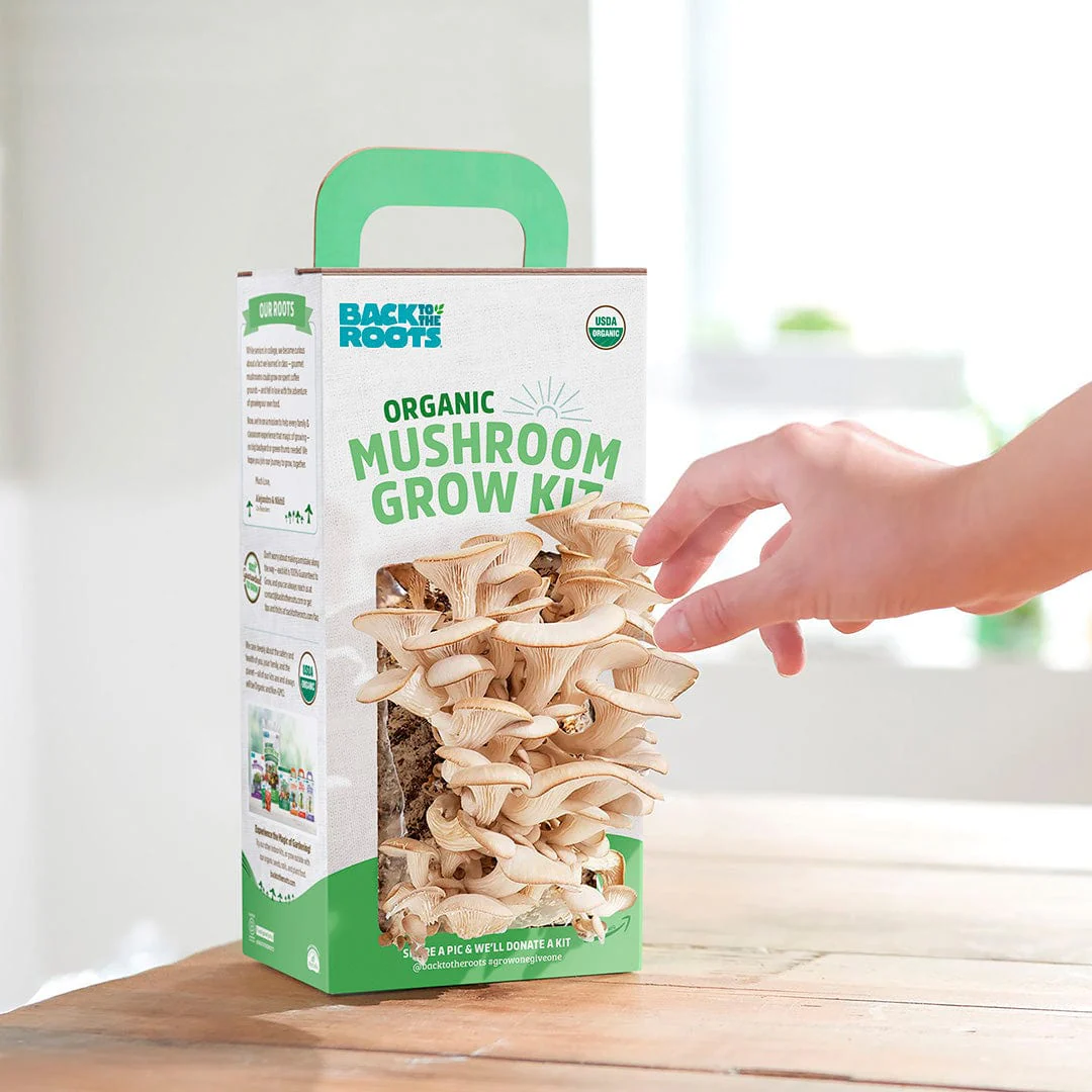 Organic Mushroom Grow Kit, Bulk 4-Pack (SAVE 20%) - Image 7