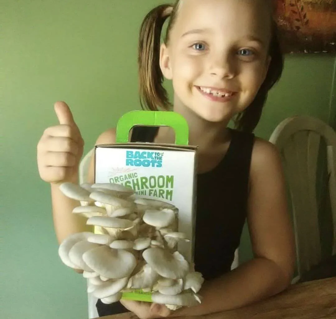 Organic Mushroom Grow Kit Gifting Bundle 	🎁, Value 3-Pack - Image 3