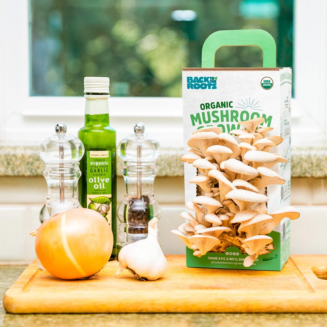 Organic Mushroom Grow Kit Gifting Bundle 	🎁, Value 3-Pack - Image 8