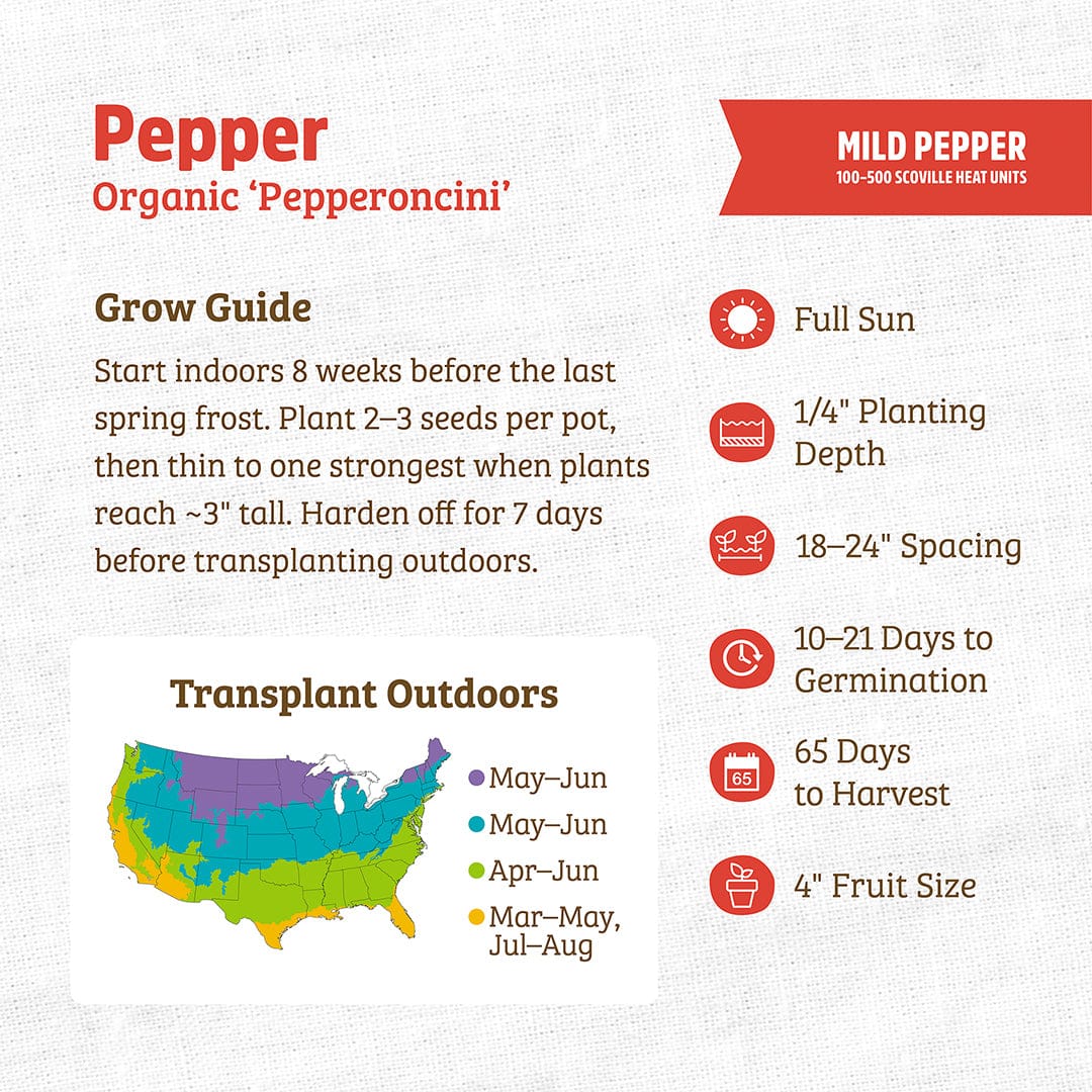 Organic Pepper Seeds — 'Pepperoncini' - Image 3