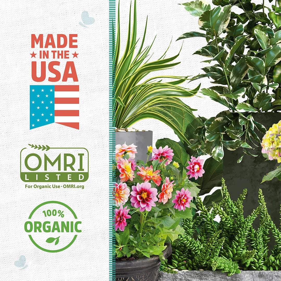 Organic Perlite - Premium Horticultural Grade (8 Quart) - Image 2