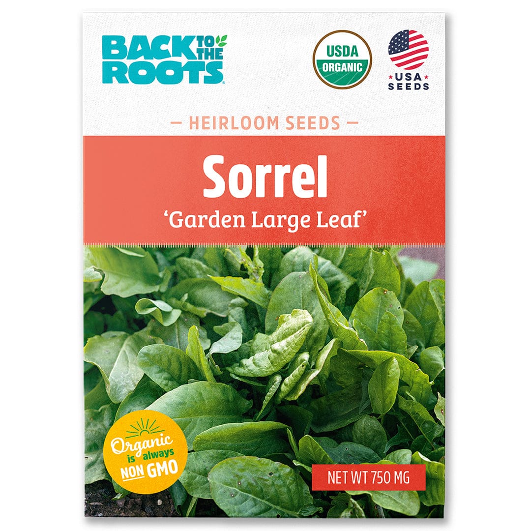 Organic Sorrel Seeds — 'Garden Large Leaf'
