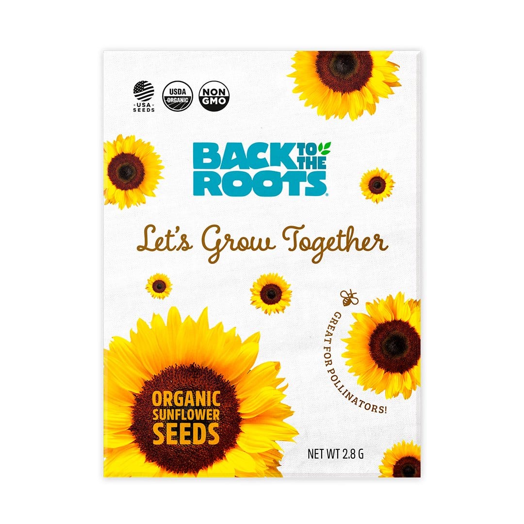 Organic Sunflower Seeds Value-Pack (20 Packets) - Image 3