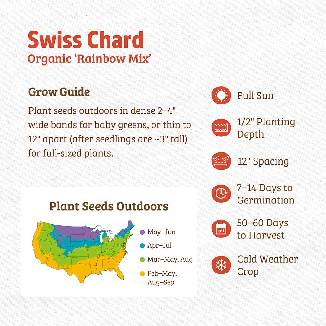 Organic Swiss Chard Seeds — 'Rainbow Mix' - Image 3