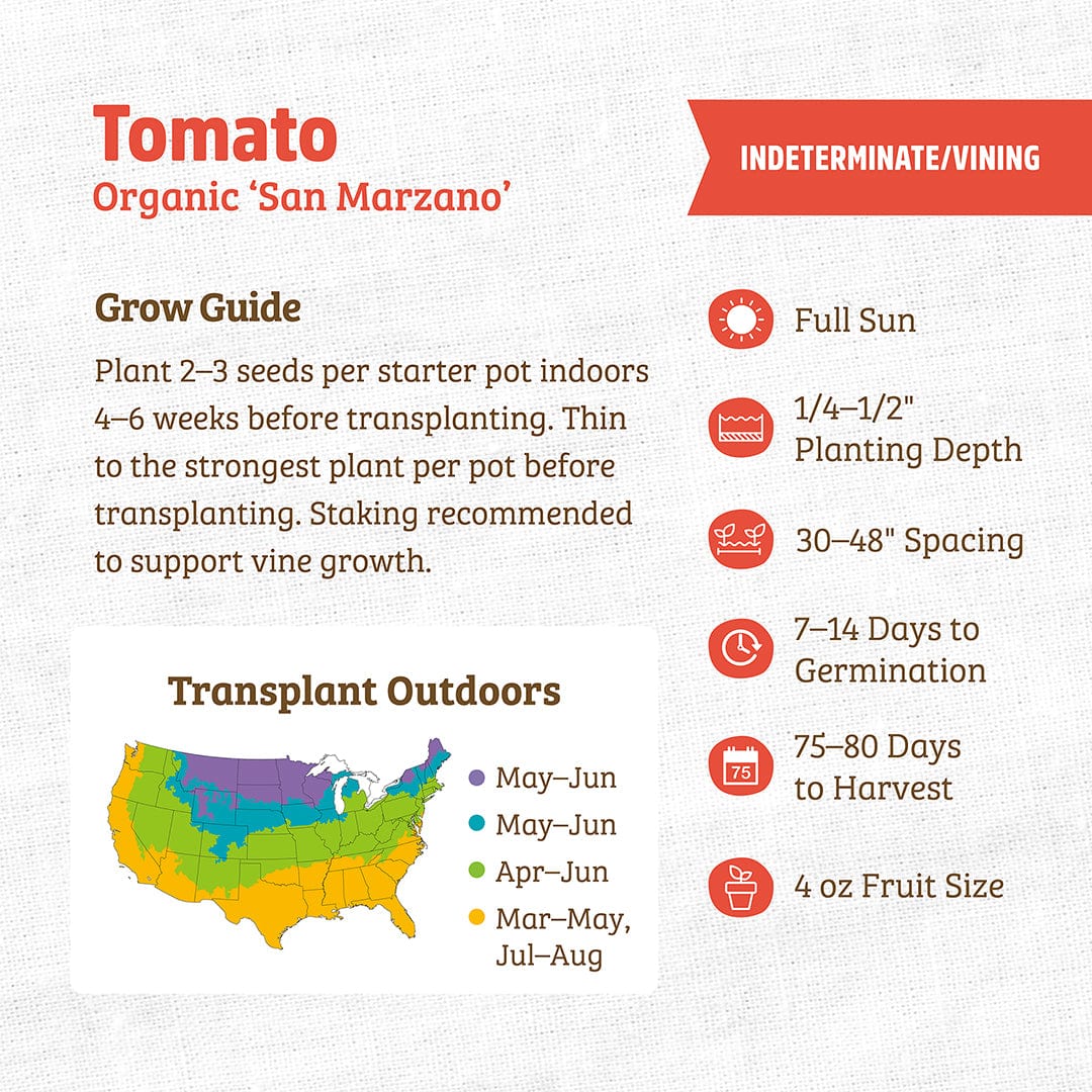 Organic Tomato Seeds — 'San Marzano' - Image 3