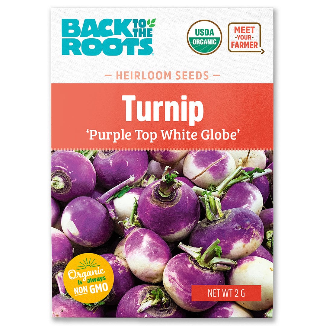 Organic Turnip Seeds — 'Purple Top White Globe'