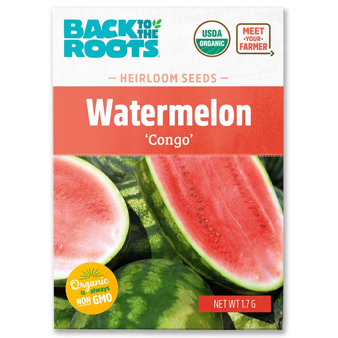 Organic Watermelon Seeds — 'Congo'