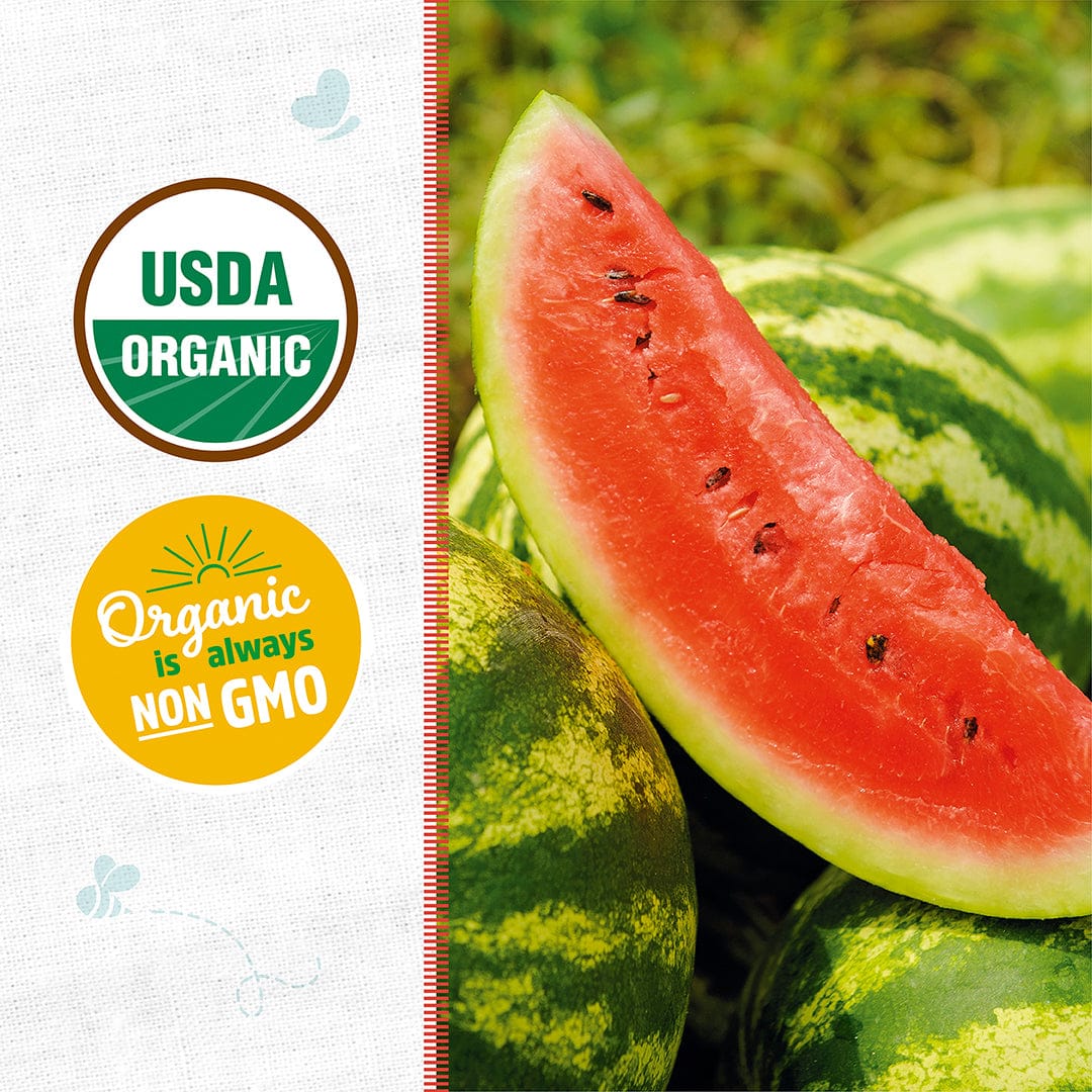 Organic Watermelon Seeds — 'Jubilee' - Image 2