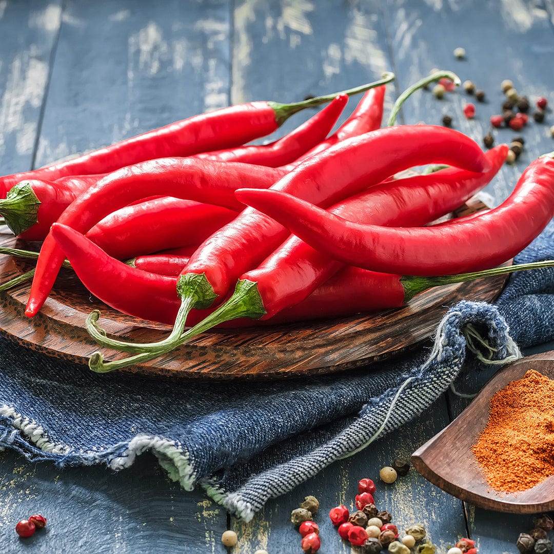 Organic Pepper Seeds — 'Cayenne Thin Chili' - Image 6
